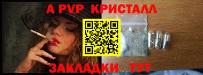стаф Гудермес