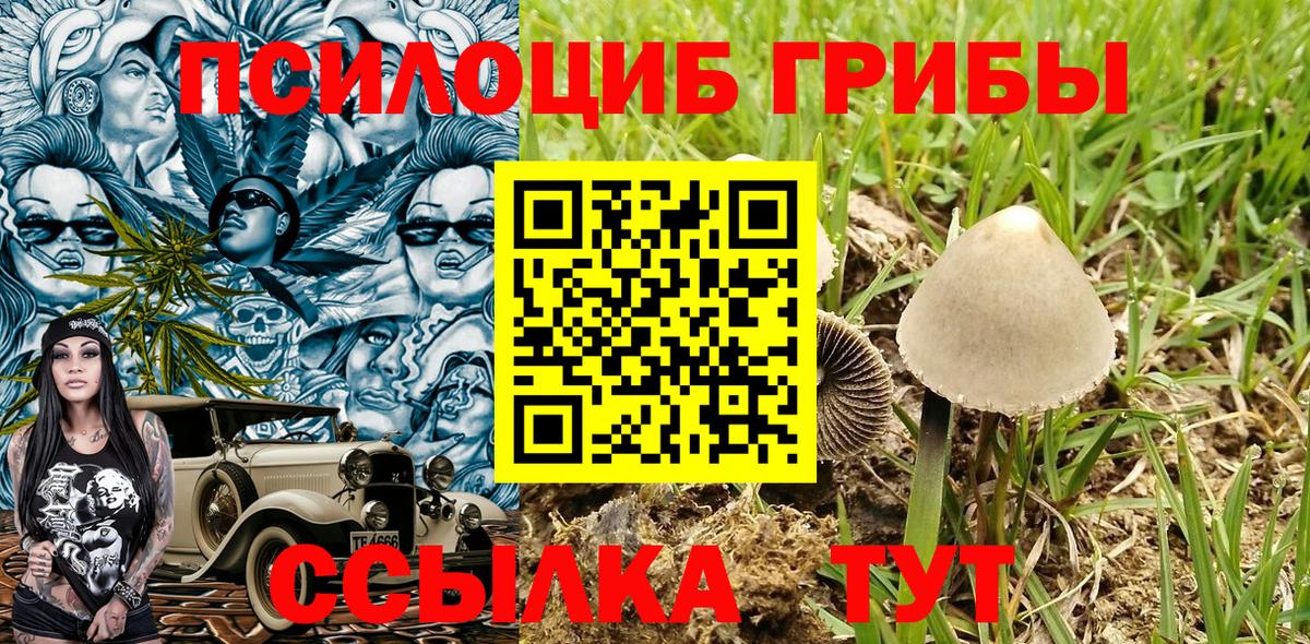 Галлюциногенные грибы прущие грибы  Галлюциногенные грибы MAGIC MUSHROOMS  Вход с VPN  Донецк 